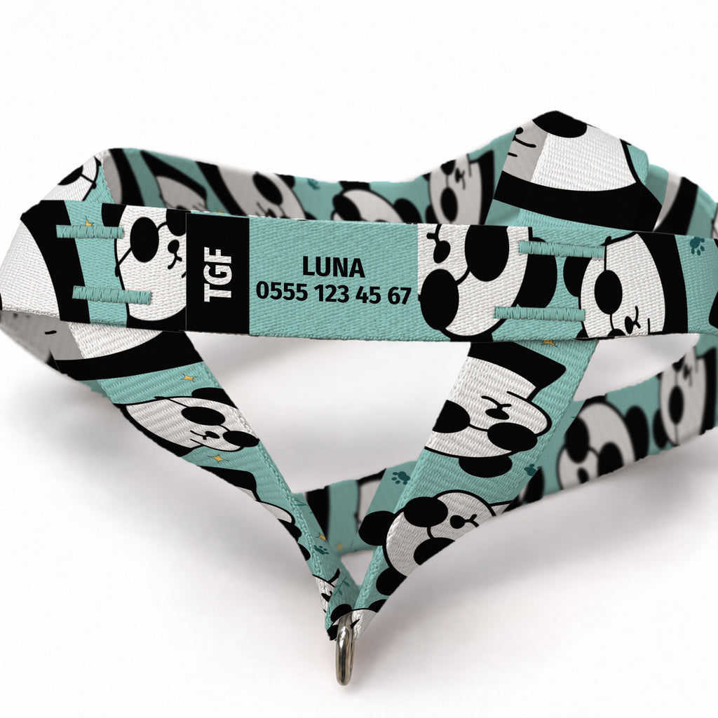 Pandi Aqua EasyFit Köpek Tasması – Yakin Cekim