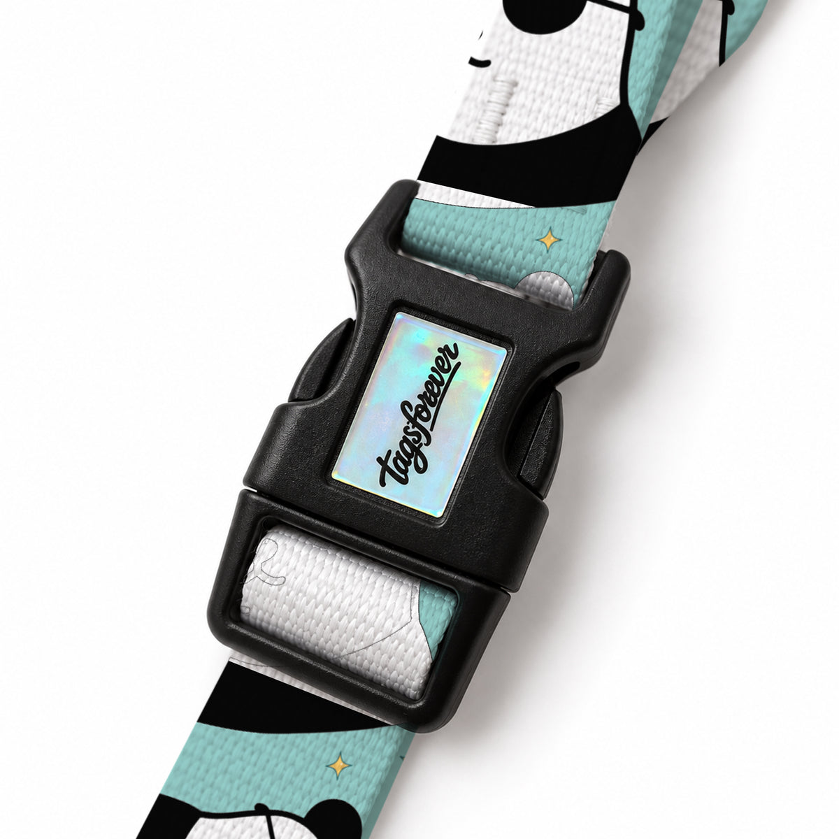 Pandi Aqua EasyFit Köpek Tasması – Klips