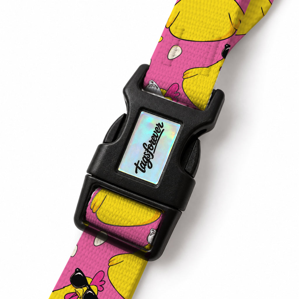 Pink Chick EasyFit Köpek Tasması – Klips