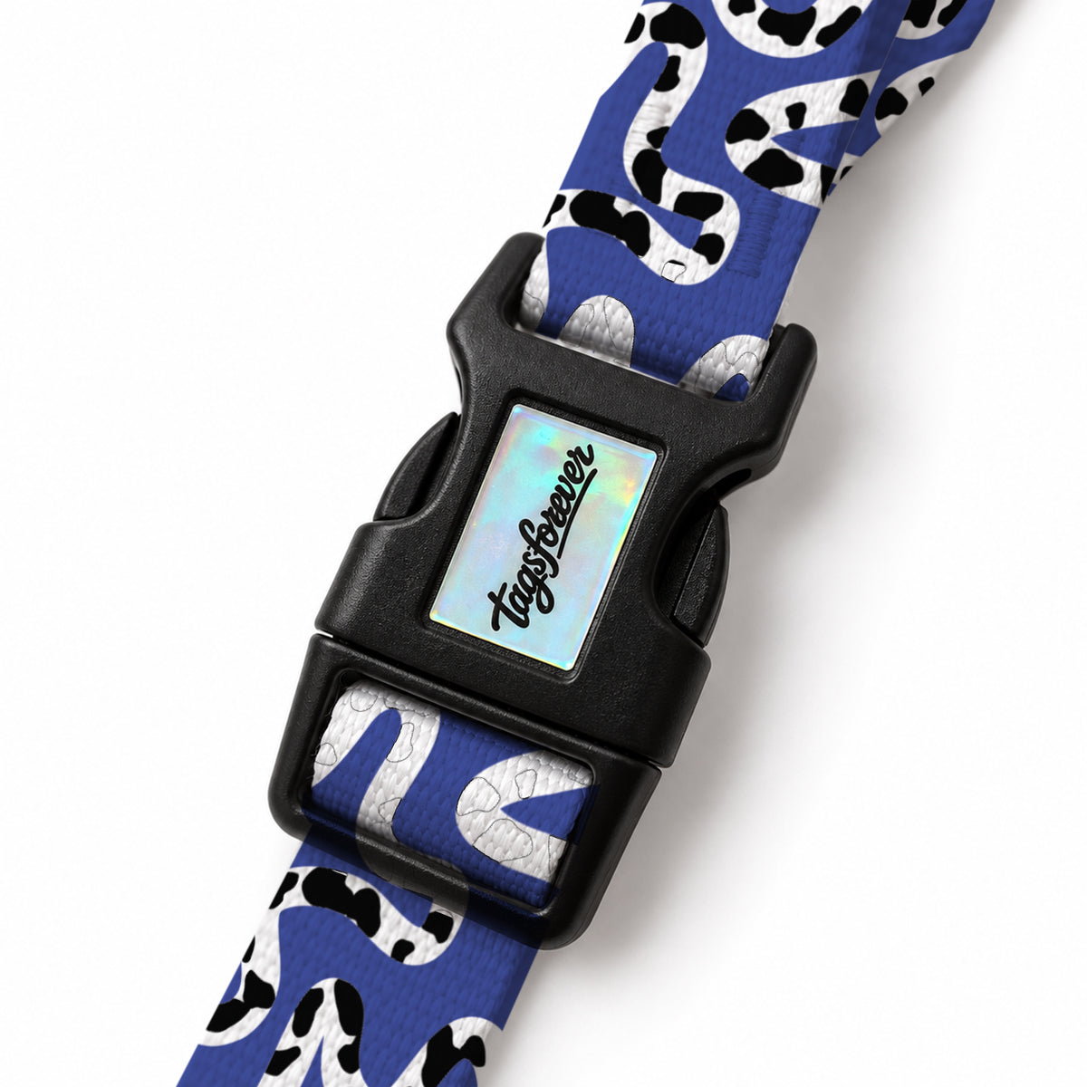 Moo Blue EasyFit Köpek Tasması – Klips