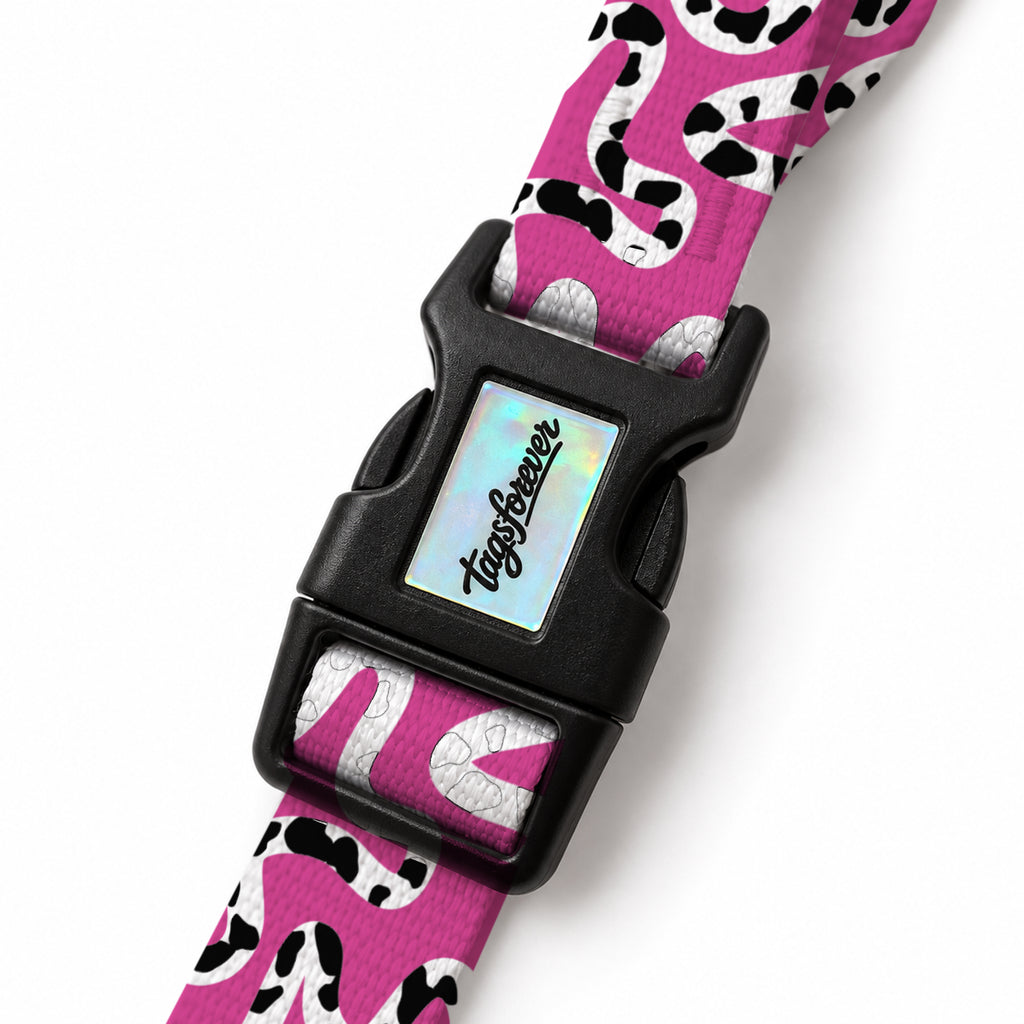 Moo Berry EasyFit Köpek Tasması – Klips