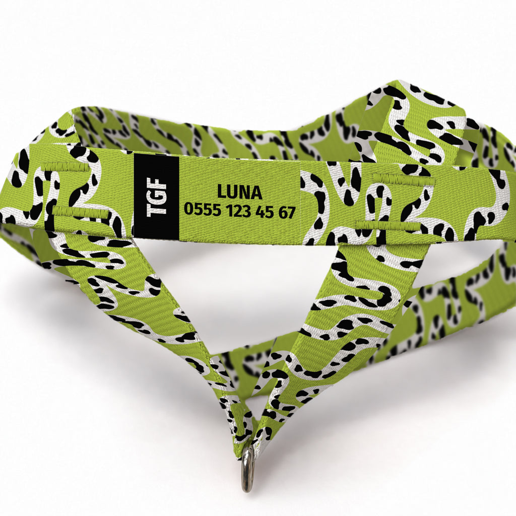 Moo Lime EasyFit Köpek Tasması – Yakin Cekim