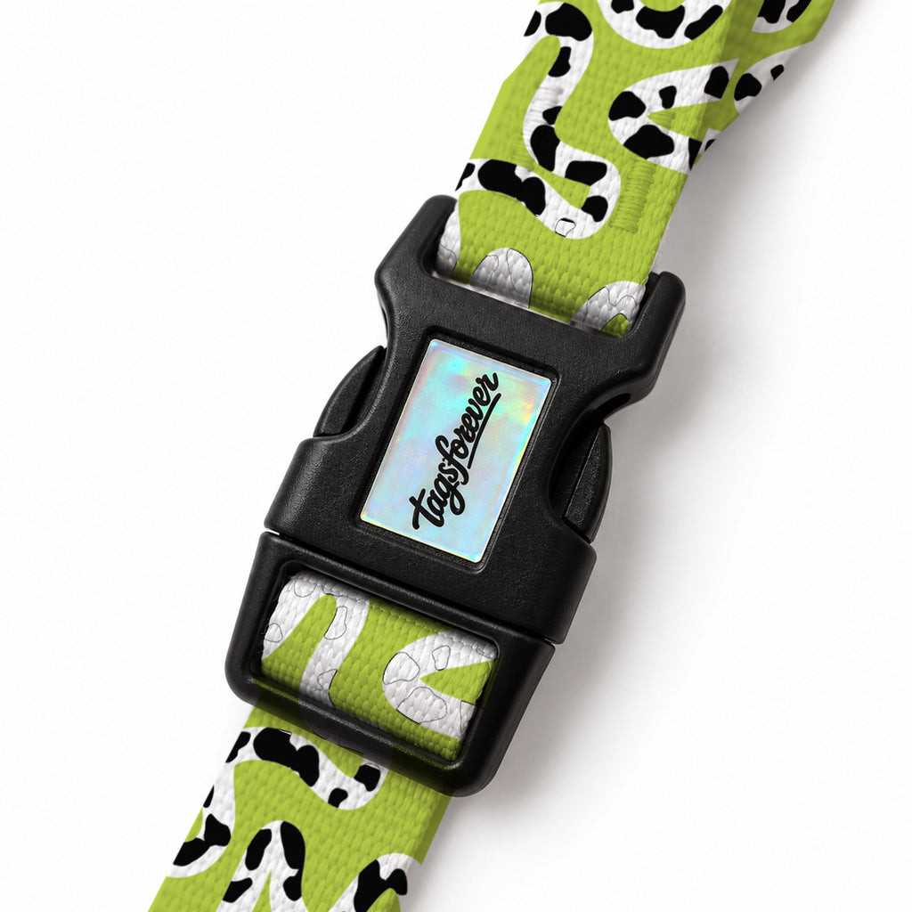 Moo Lime EasyFit Köpek Tasması – Klips