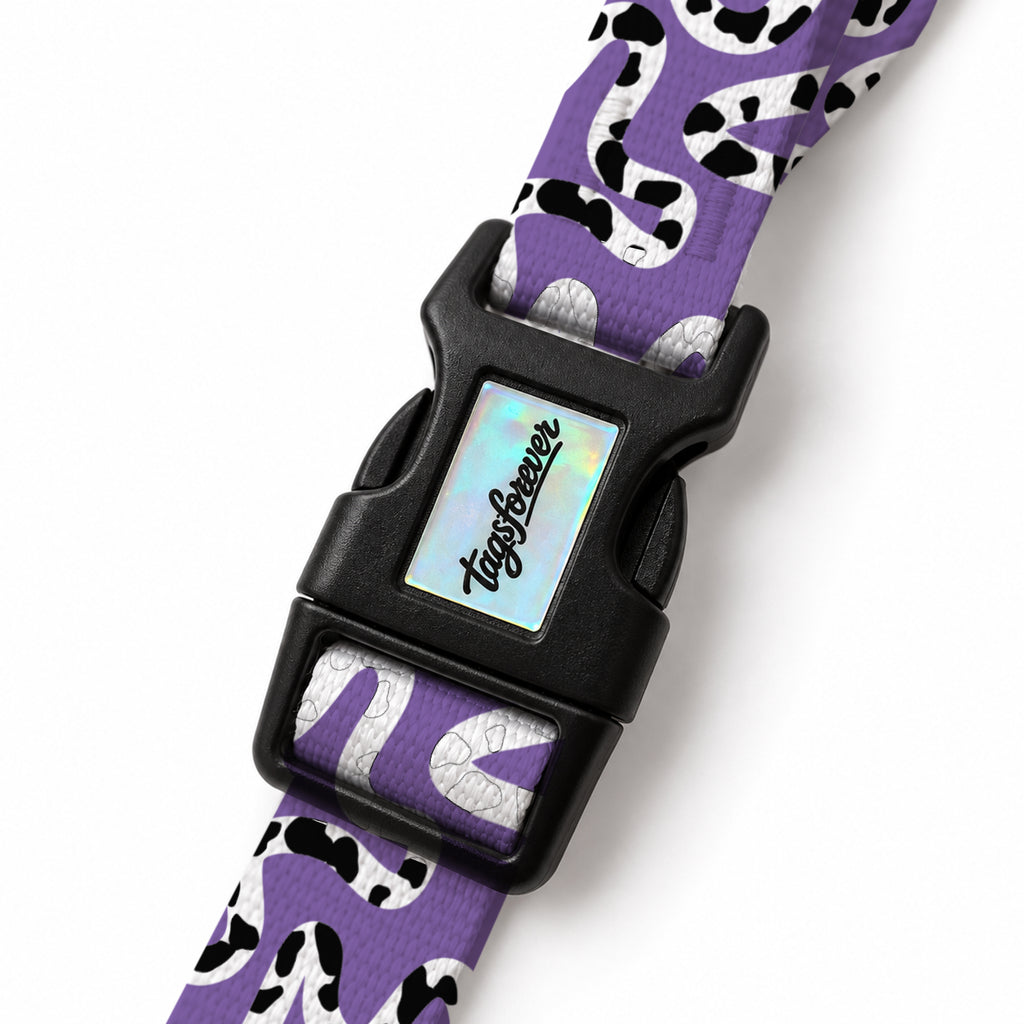 Moo Violet EasyFit Köpek Tasması – Klips
