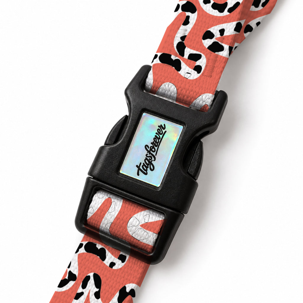 Moo Coral EasyFit Köpek Tasması – Klips