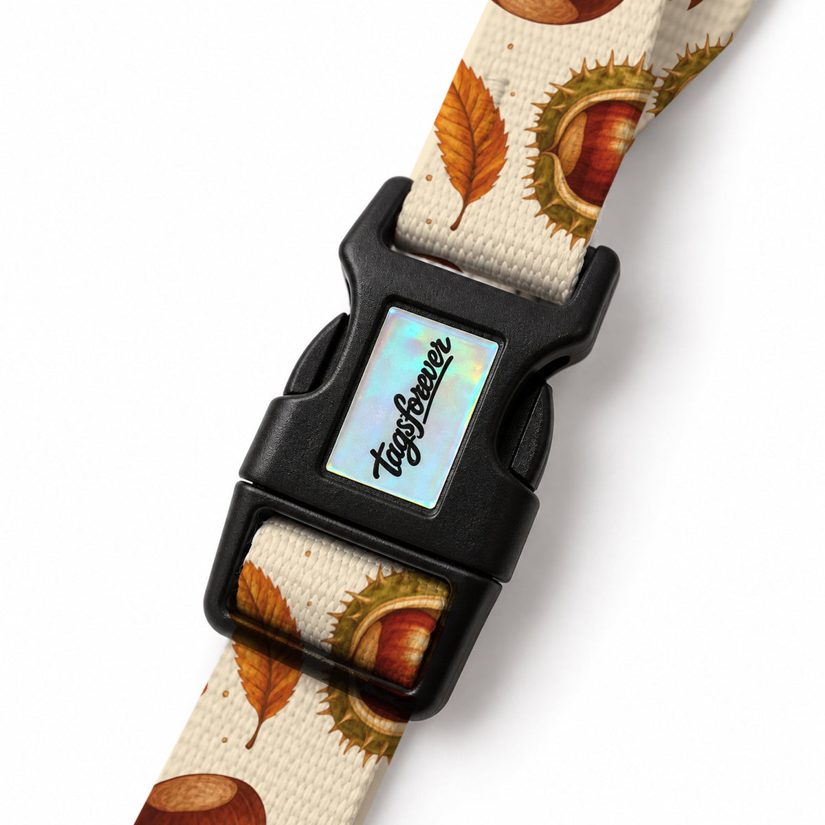 Chestnut EasyFit Köpek Tasması – Klips