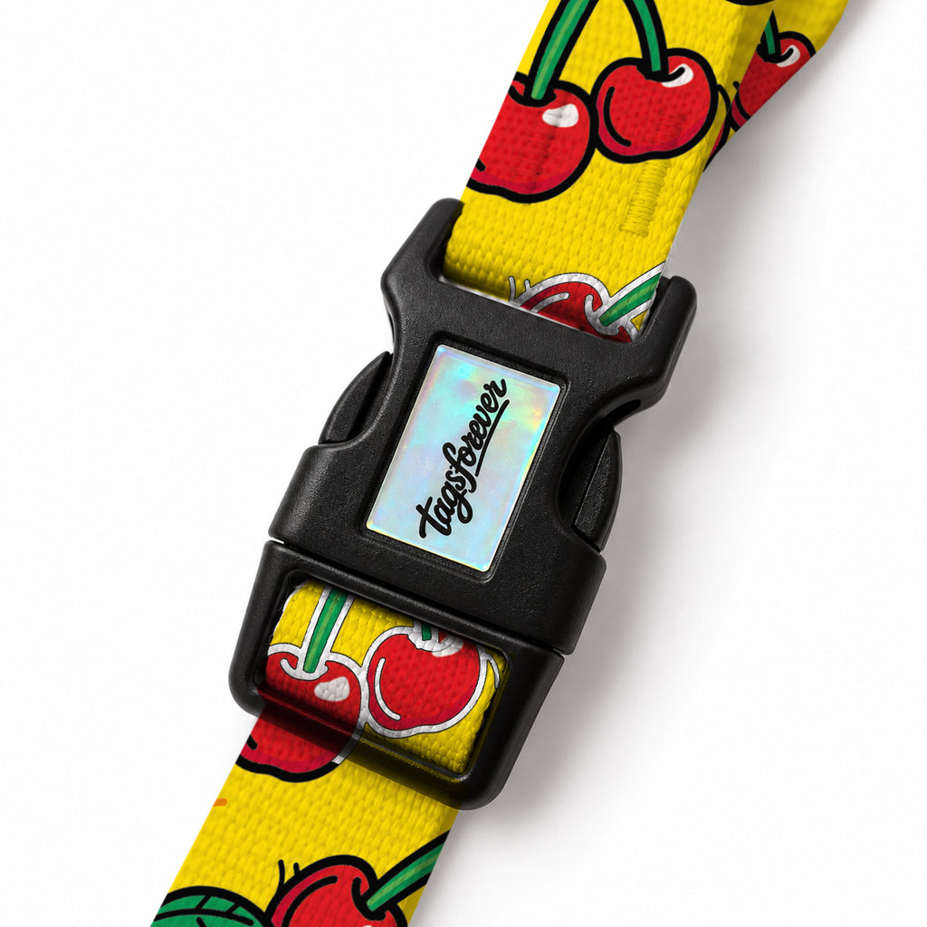 Cherry Pop EasyFit Köpek Tasması – Klips