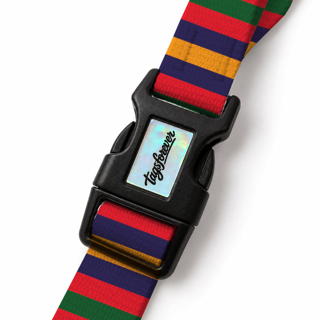 Color Stripe EasyFit Köpek Tasması – Klips