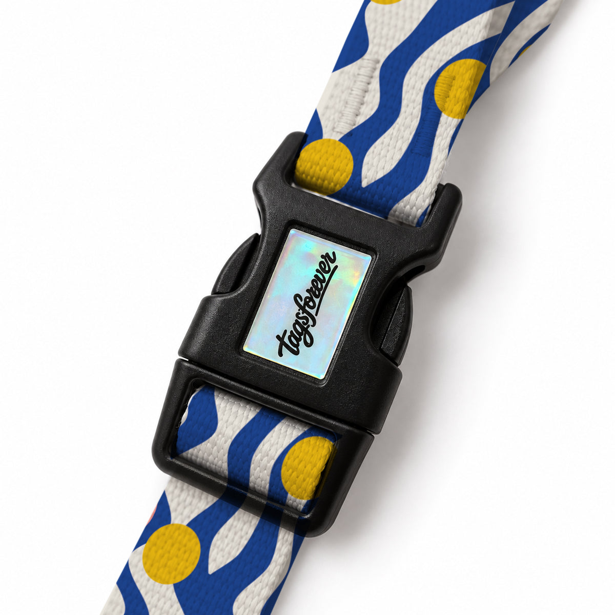 Blue Wave EasyFit Köpek Tasması – Klips