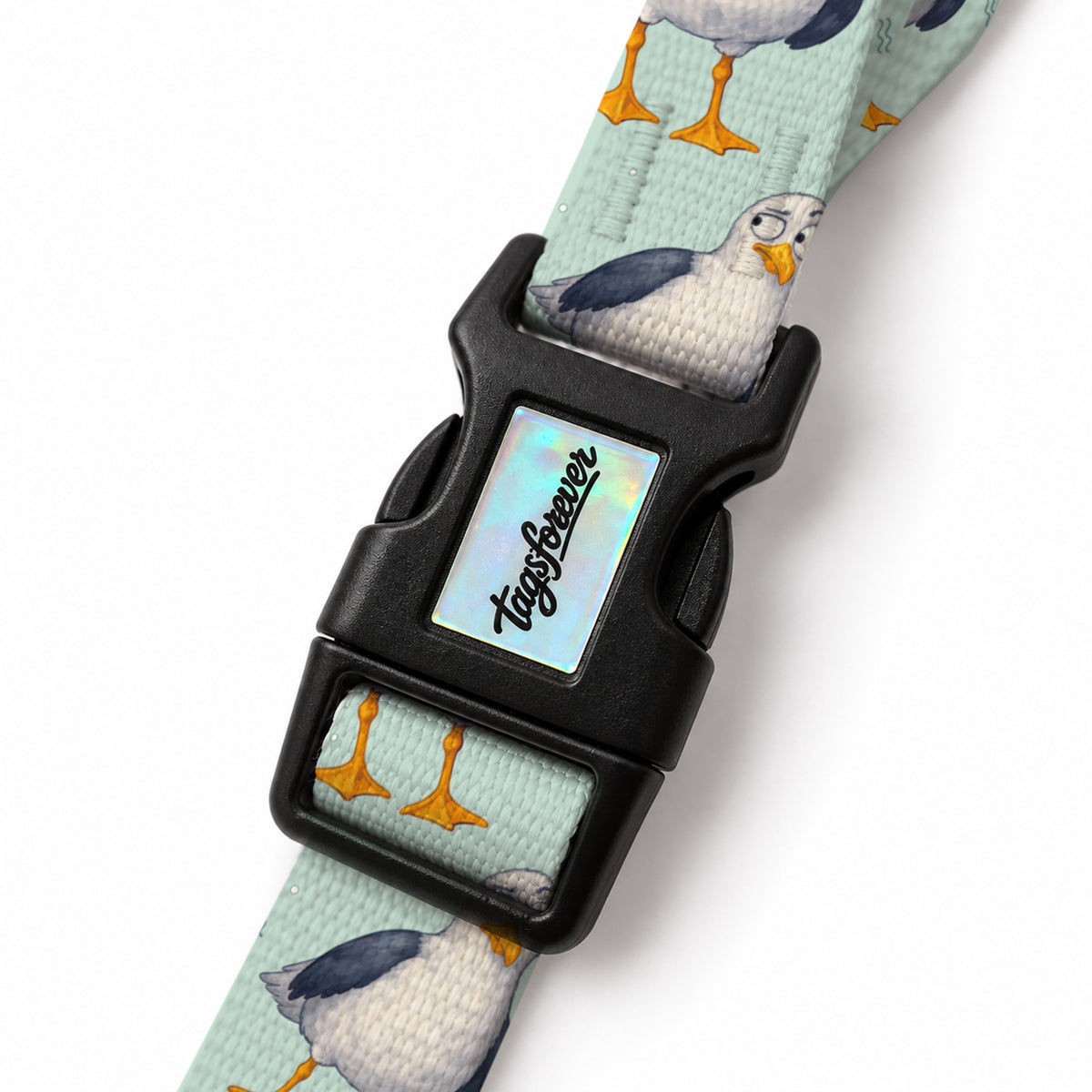 Gully EasyFit Köpek Tasması – Klips