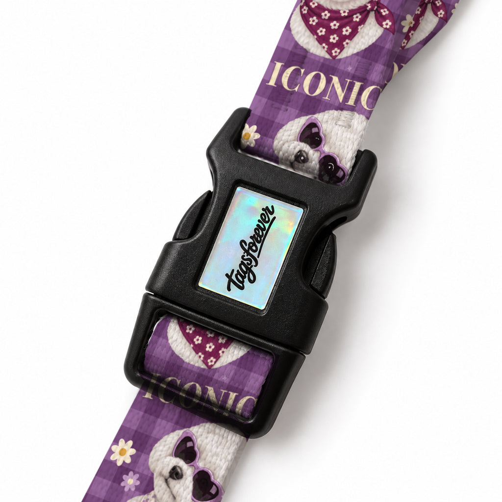 Maltese Bloom EasyFit Köpek Tasması – Klips