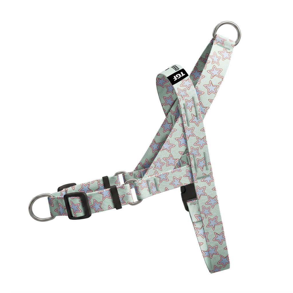 Mint Star EasyFit Köpek Tasması – Urun