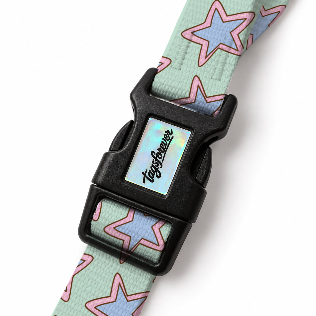 Mint Star EasyFit Köpek Tasması – Klips