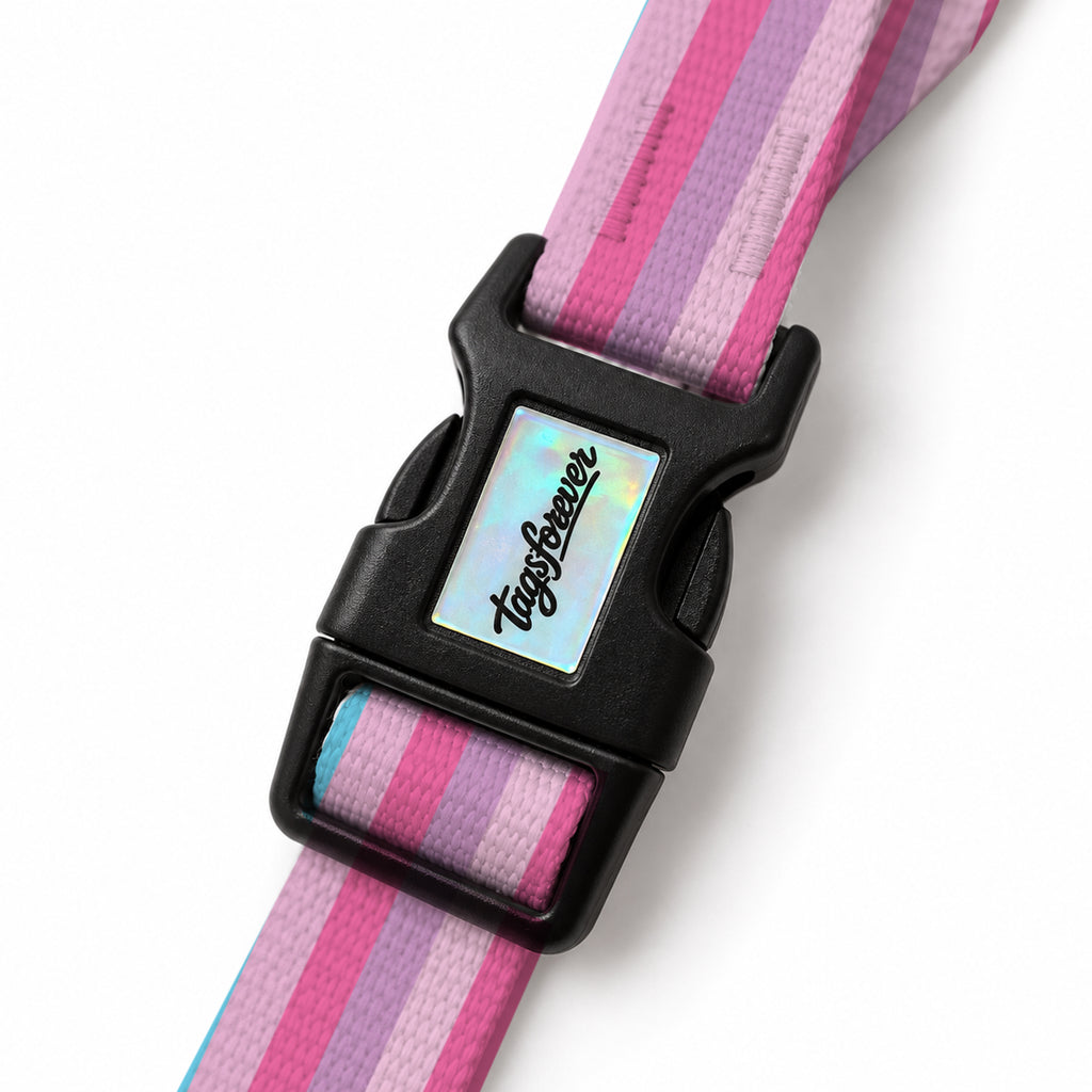 Pastel Stripe EasyFit Köpek Tasması – Klips