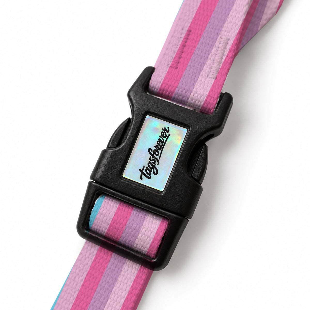 Pastel Stripe EasyFit Köpek Tasması – Klips