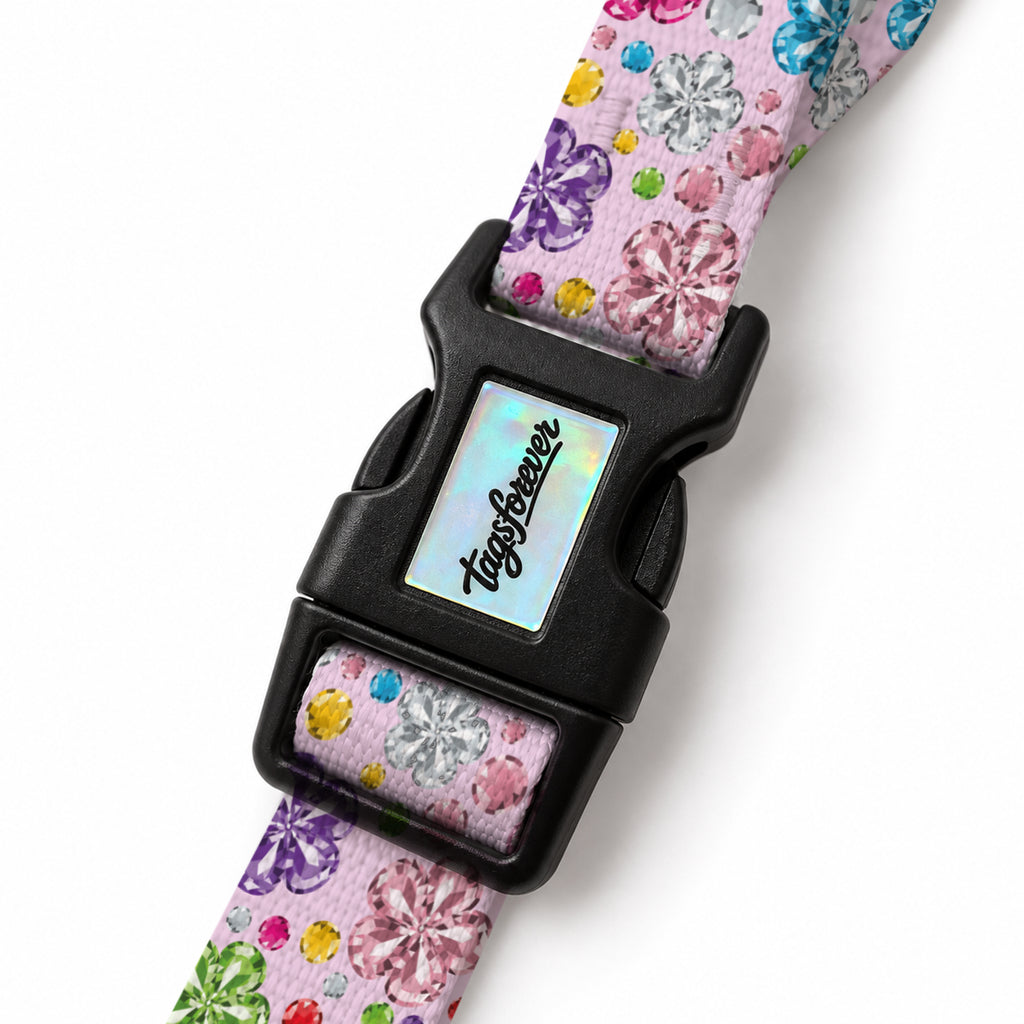 Crystal Bloom EasyFit Köpek Tasması – Klips