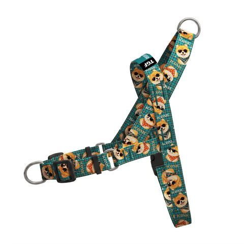 Teddy Check EasyFit Köpek Tasması – Urun