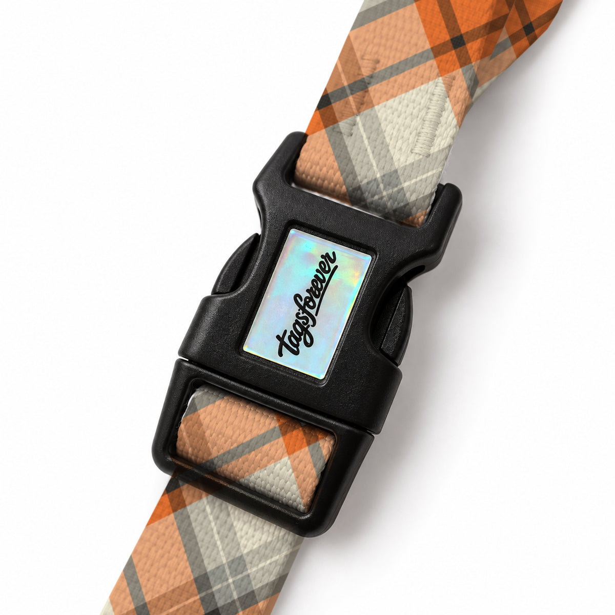 Orange Check EasyFit Köpek Tasması – Klips