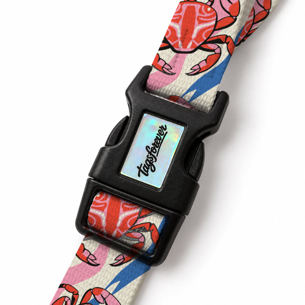Crab Wave EasyFit Köpek Tasması – Klips