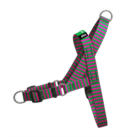 Berry Stripe EasyFit Köpek Tasması – Urun