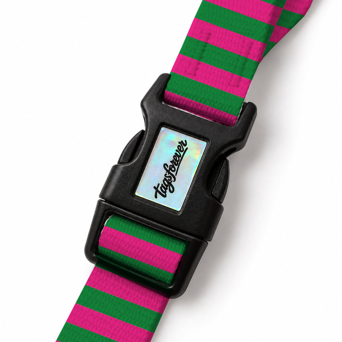 Berry Stripe EasyFit Köpek Tasması – Klips
