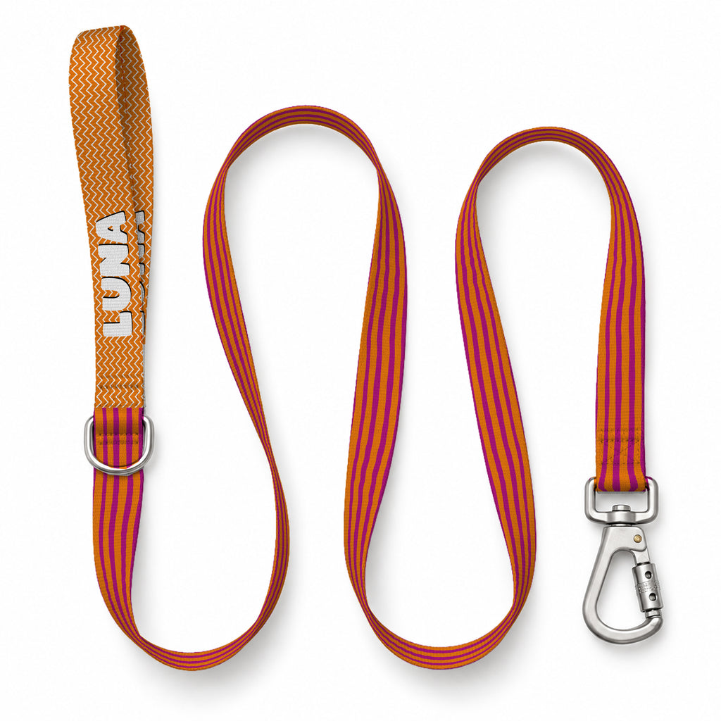 Brush Orange Gezdirme Kayışı – Urun