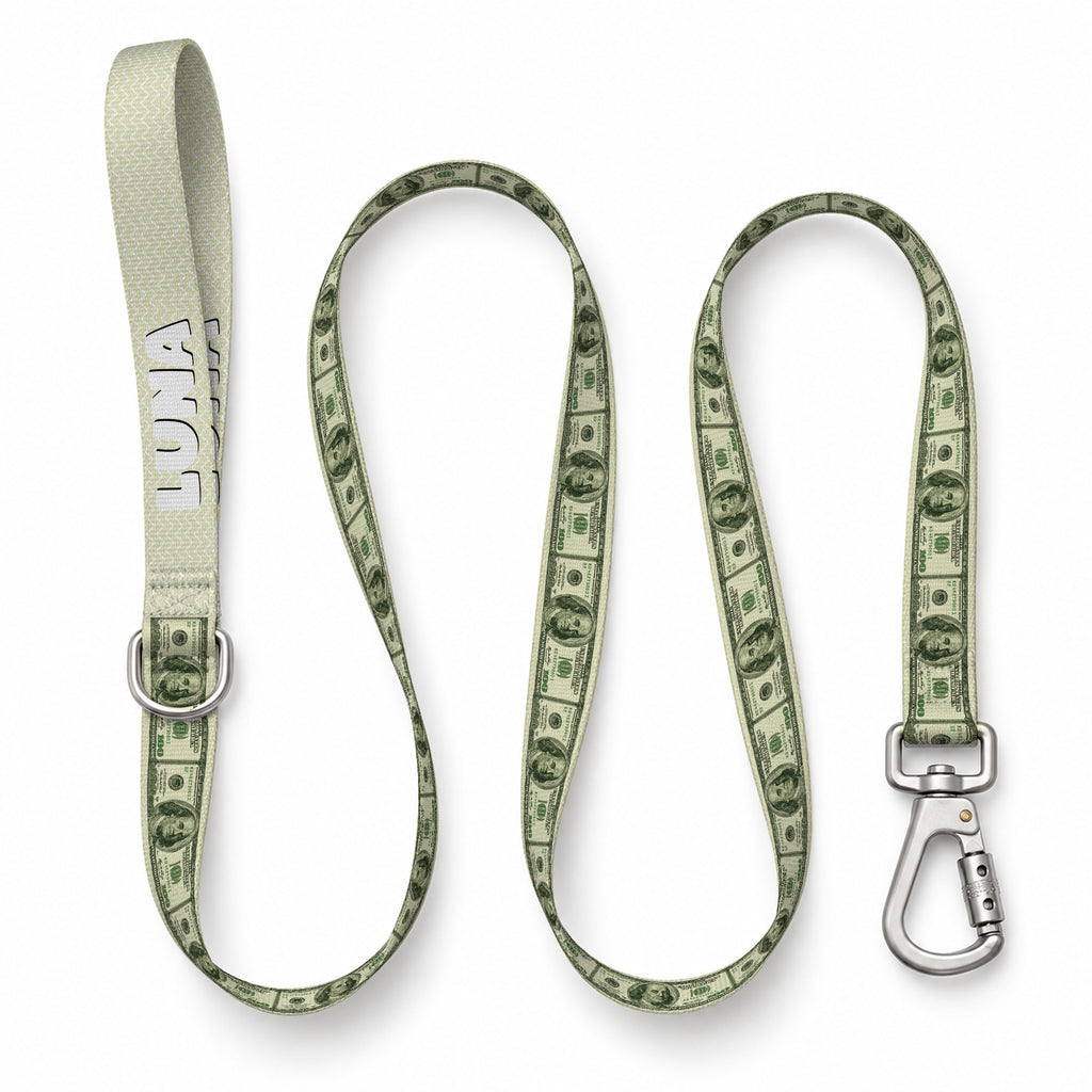 Dollar Pop Gezdirme Kayışı – Urun