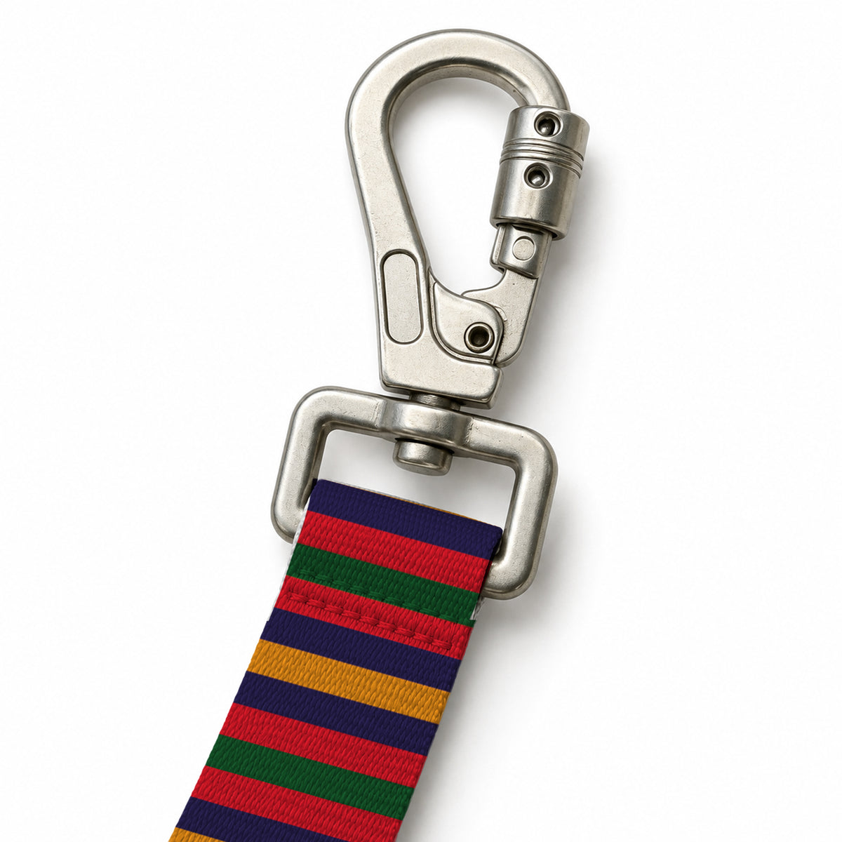 Color Stripe Gezdirme Kayışı – Klips