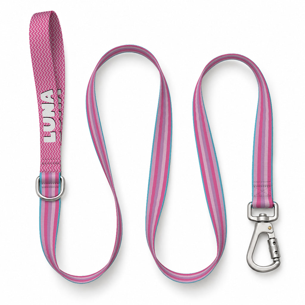 Pastel Stripe Gezdirme Kayışı – Urun