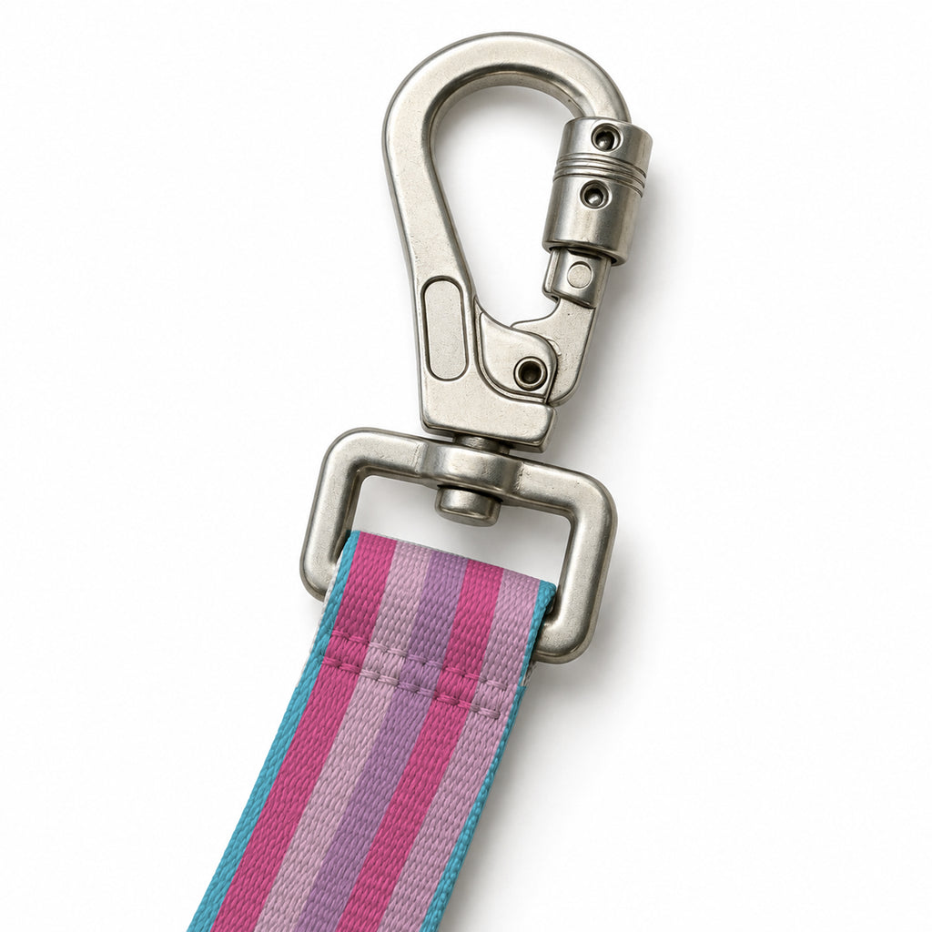 Pastel Stripe Gezdirme Kayışı – Klips