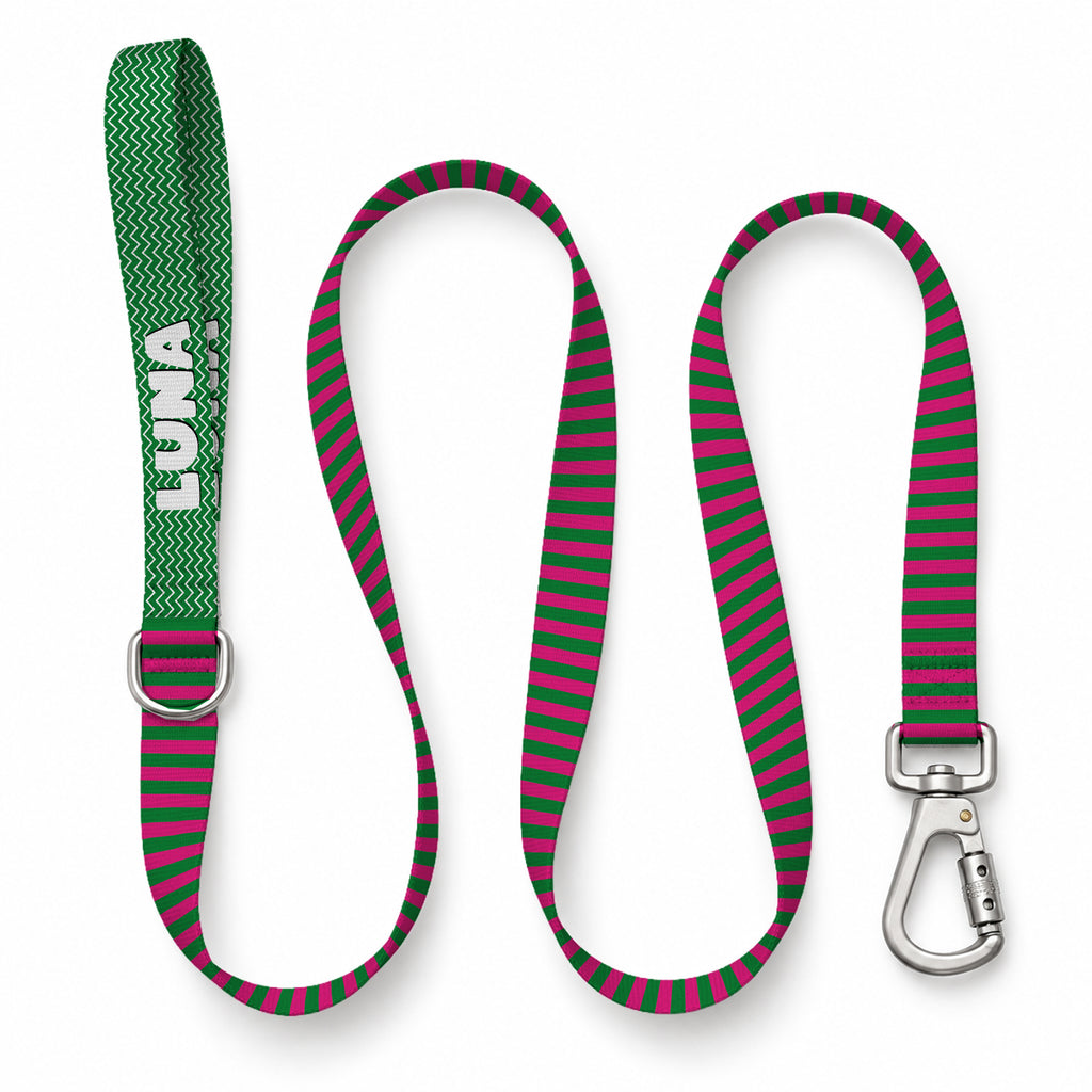 Berry Stripe Gezdirme Kayışı – Urun