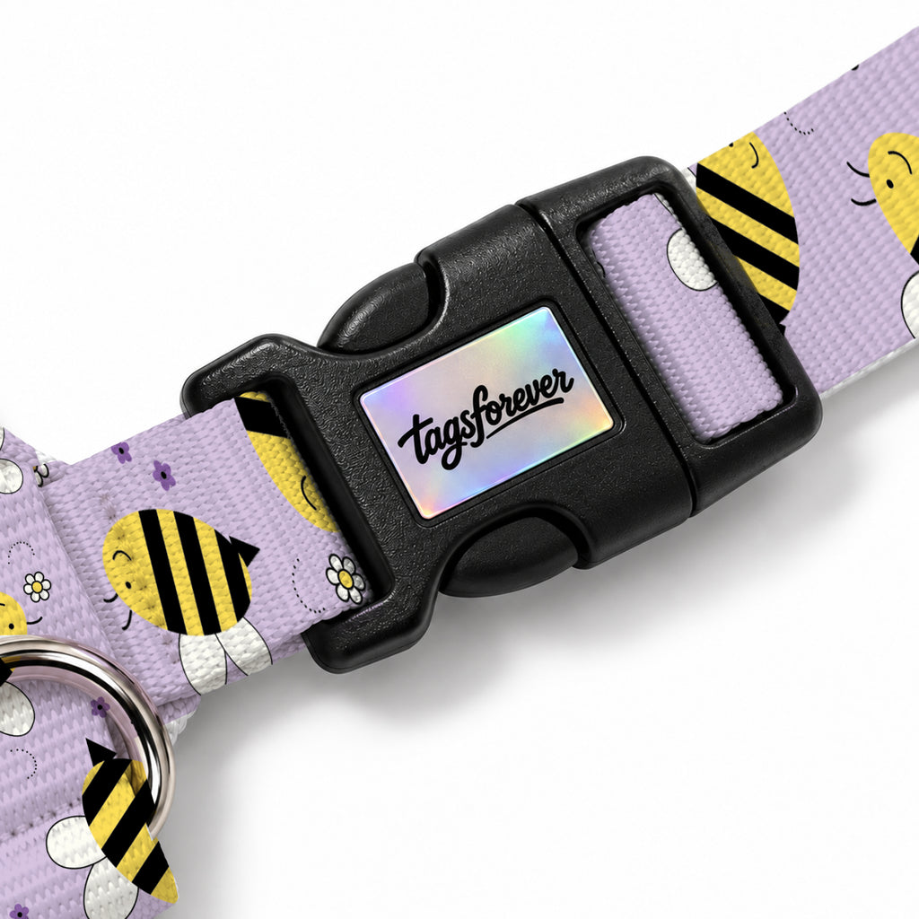 Buzzy Lilac Köpek Göğüs Tasması – Klips