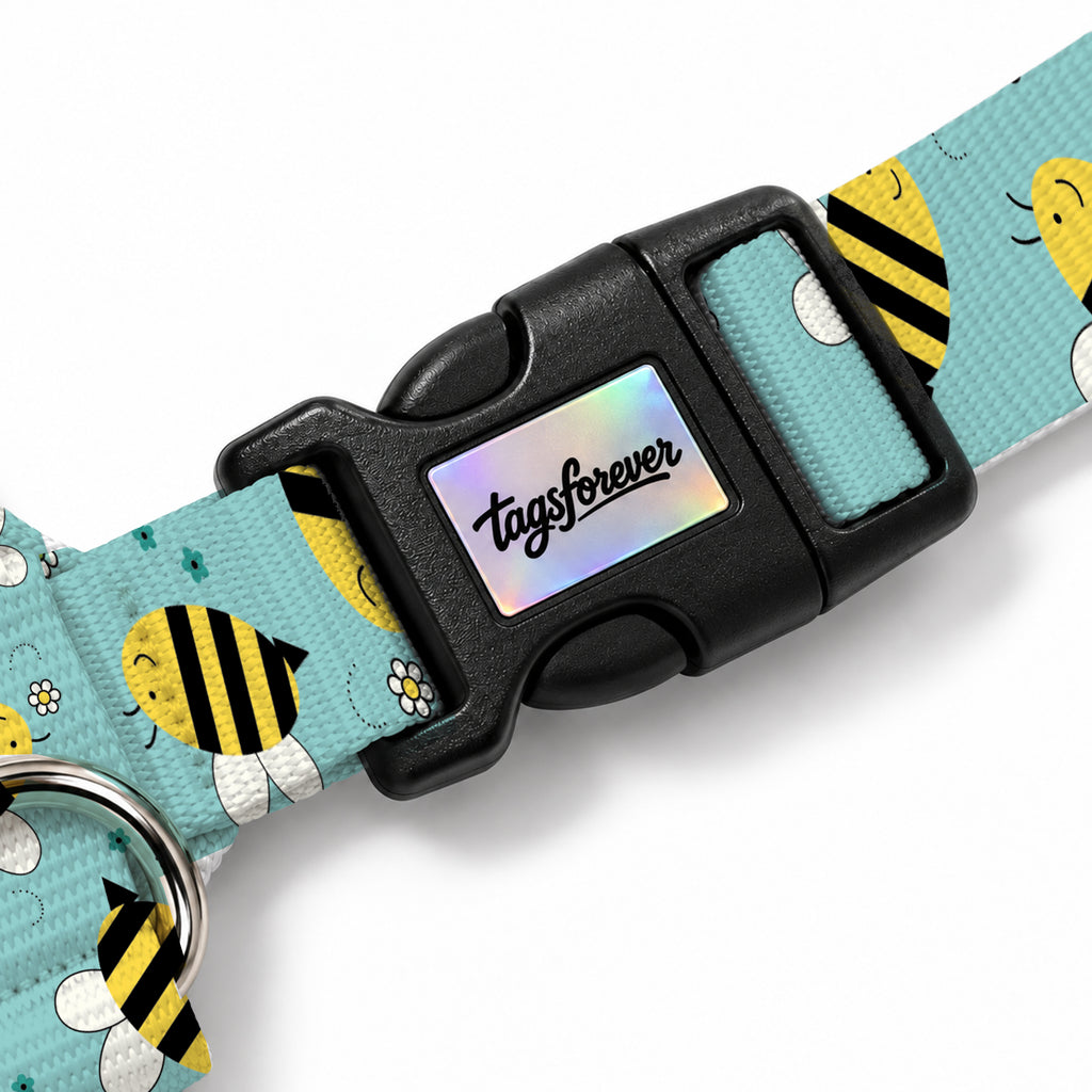 Buzzy Aqua Köpek Göğüs Tasması – Klips