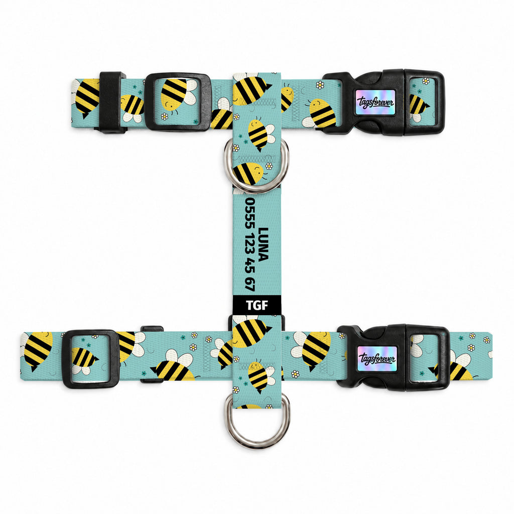 Buzzy Aqua Kedi Göğüs Tasması – Urun
