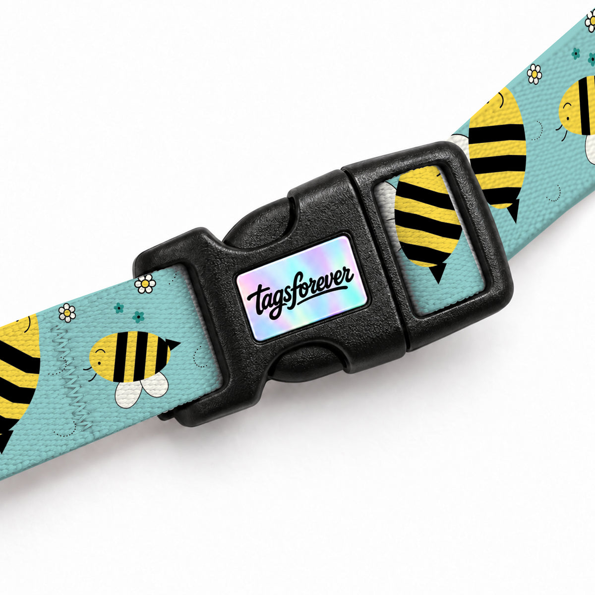 Buzzy Aqua Kedi Göğüs Tasması – Klips