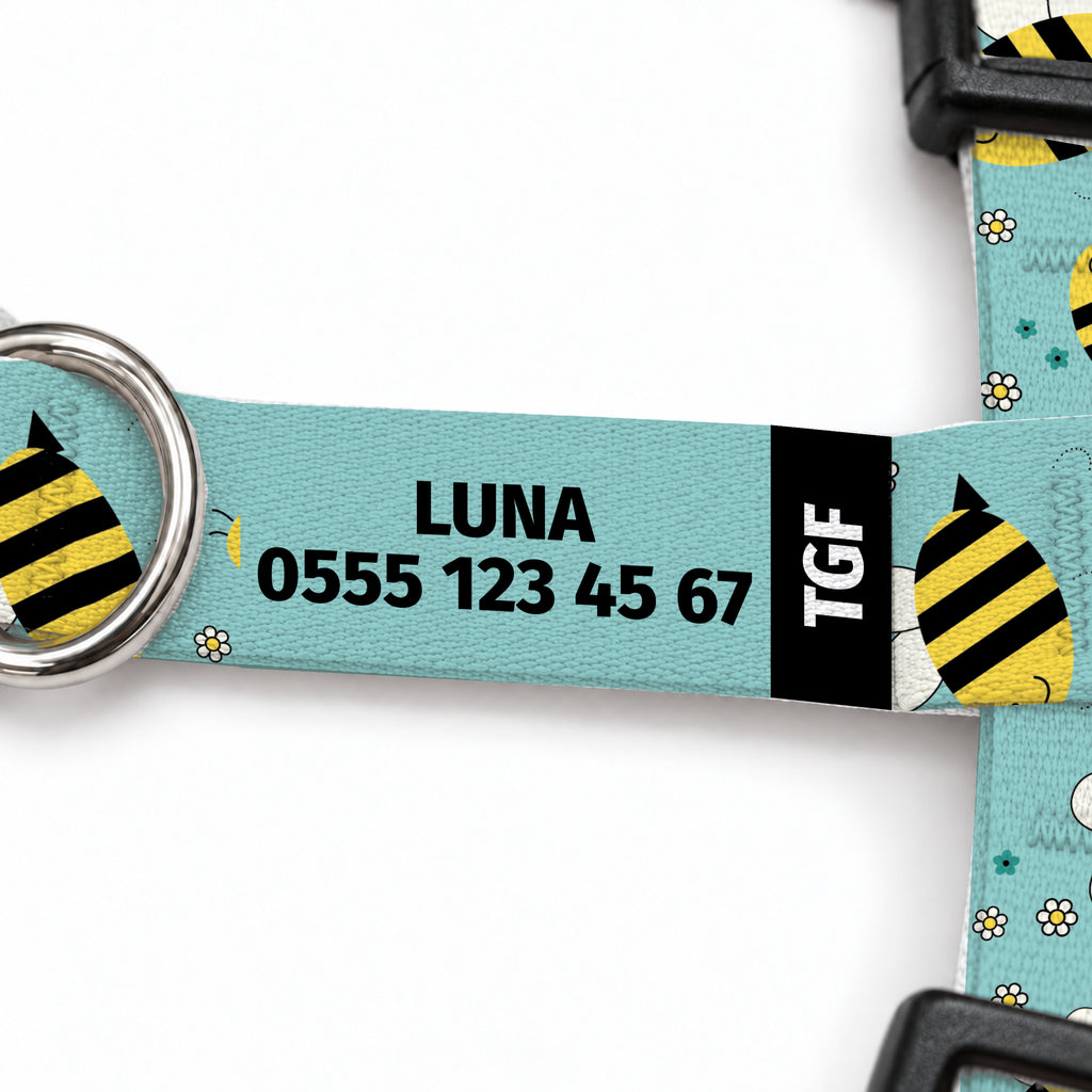 Buzzy Aqua Kedi Göğüs Tasması – Yazi Detayi