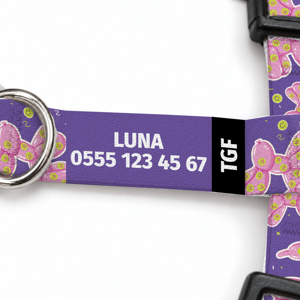 Ballo Purple Kedi Göğüs Tasması – Yazi Detayi