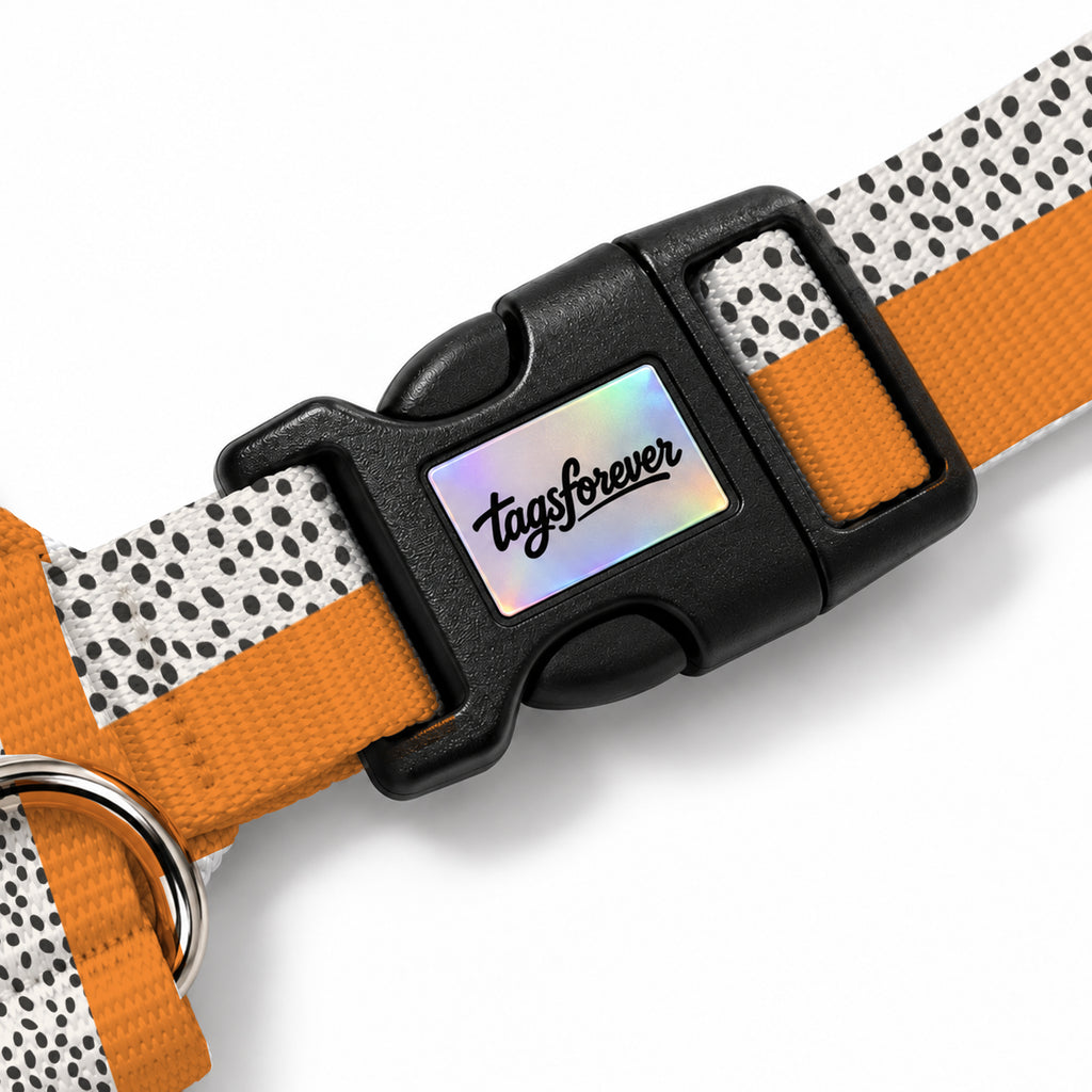 Spot Orange Köpek Göğüs Tasması – Klips