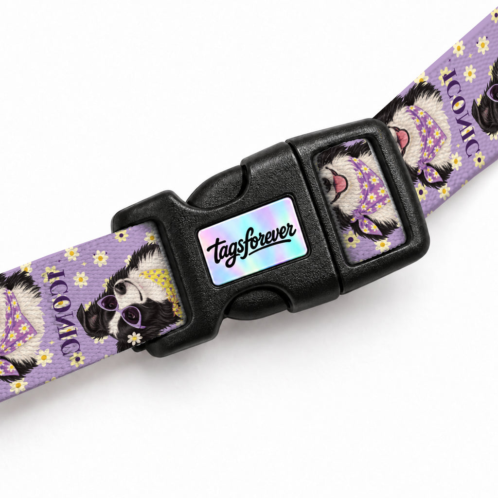 Collie Bloom Kedi Göğüs Tasması – Klips