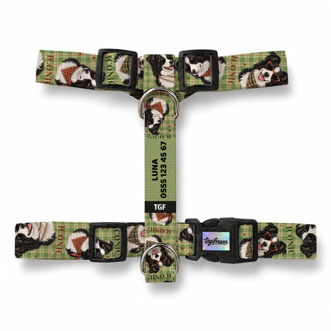 Collie Olive Köpek Göğüs Tasması – Urun