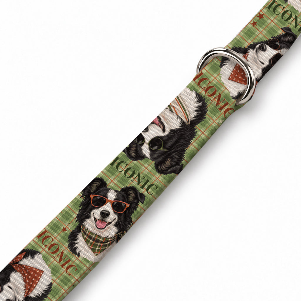 Collie Olive Köpek Göğüs Tasması – Yakin Cekim