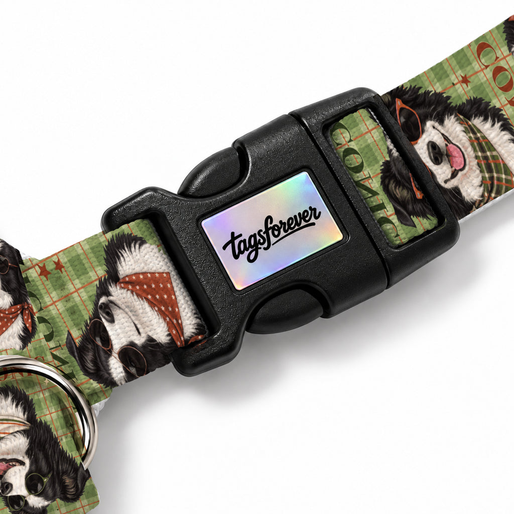 Collie Olive Köpek Göğüs Tasması – Klips