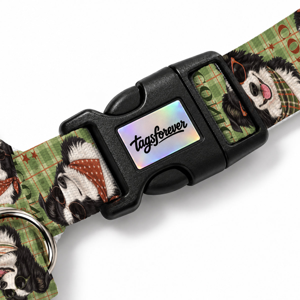 Collie Olive Köpek Göğüs Tasması – Klips