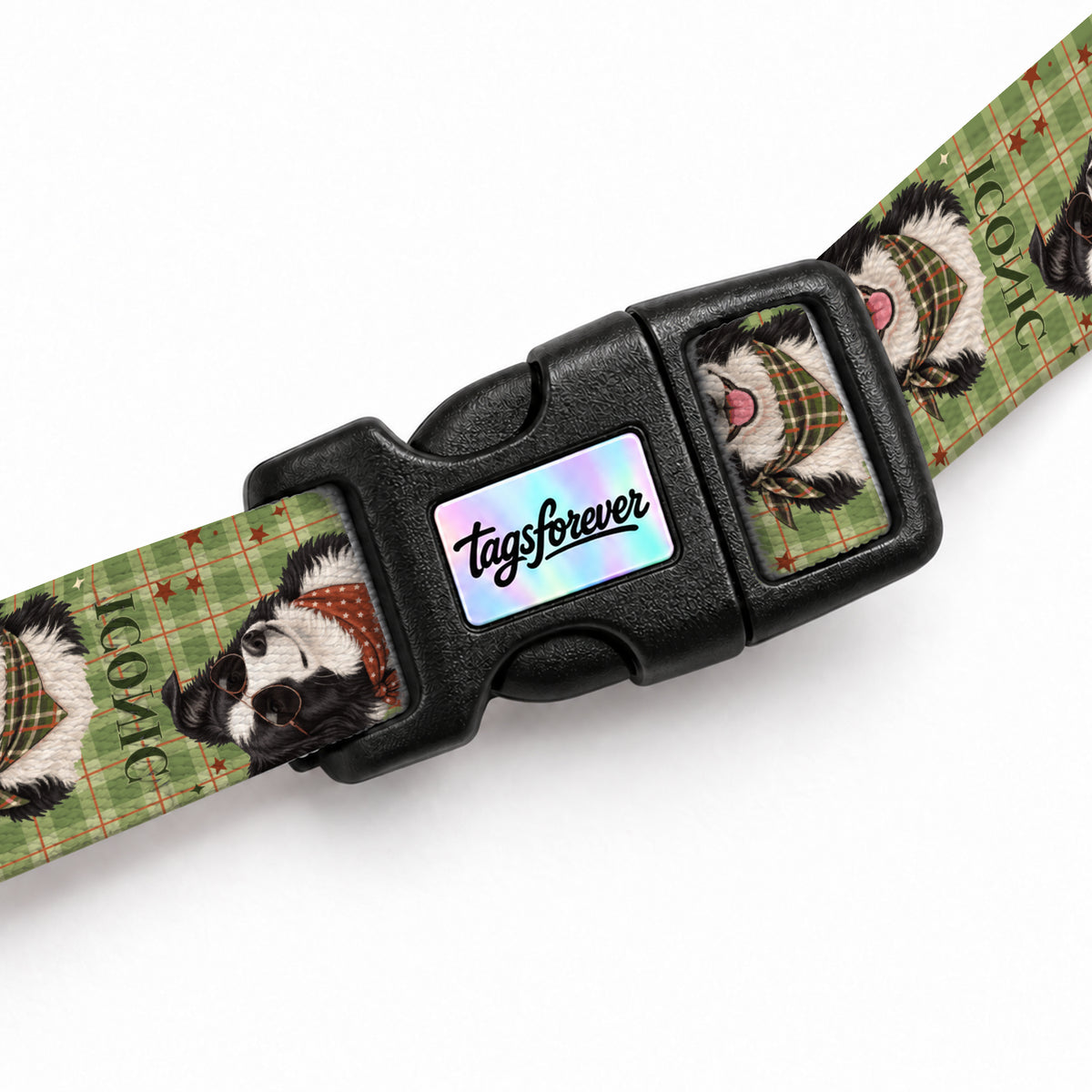 Collie Olive Kedi Göğüs Tasması – Klips