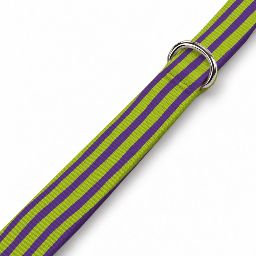 Brush Purple Köpek Göğüs Tasması – Yakin Cekim