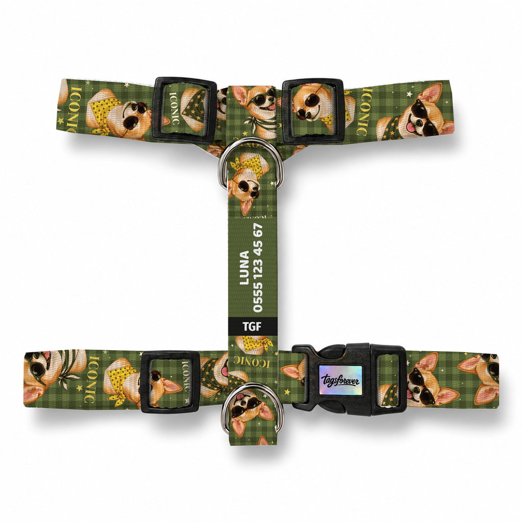 Chico Olive Köpek Göğüs Tasması – Urun