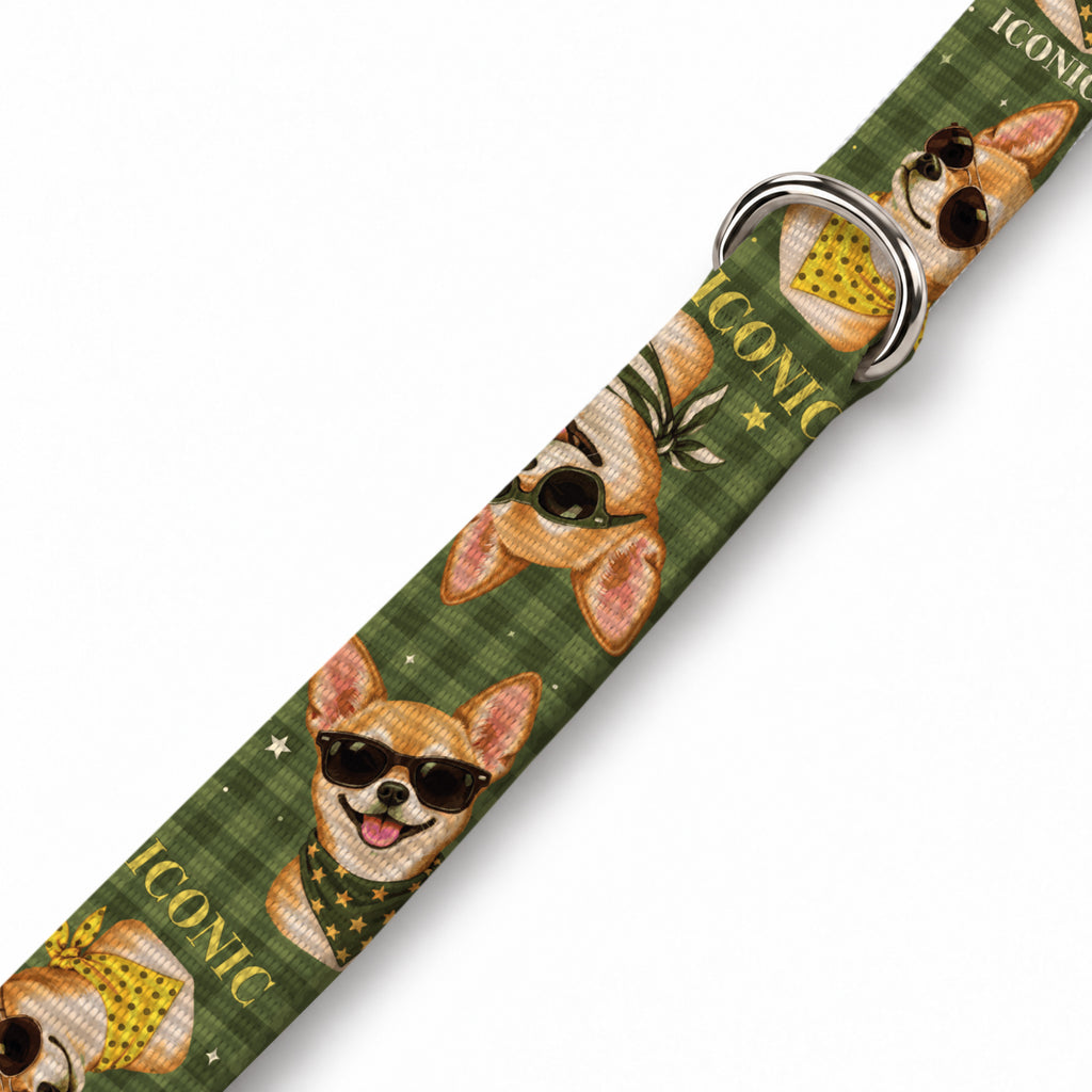 Chico Olive Köpek Göğüs Tasması – Yakin Cekim