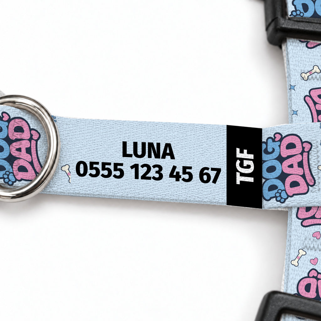 Papa Blue Kedi Göğüs Tasması – Yazi Detayi