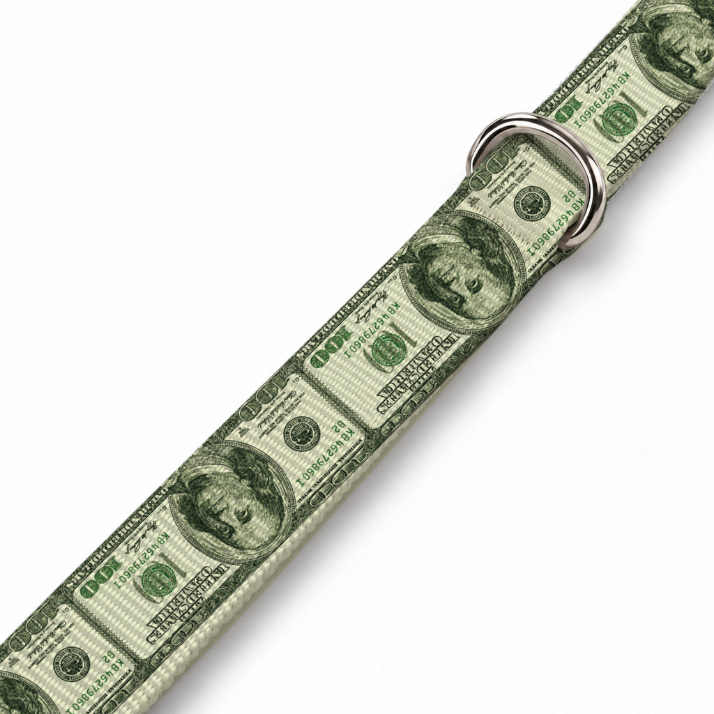 Dollar Pop Köpek Göğüs Tasması – Yakin Cekim