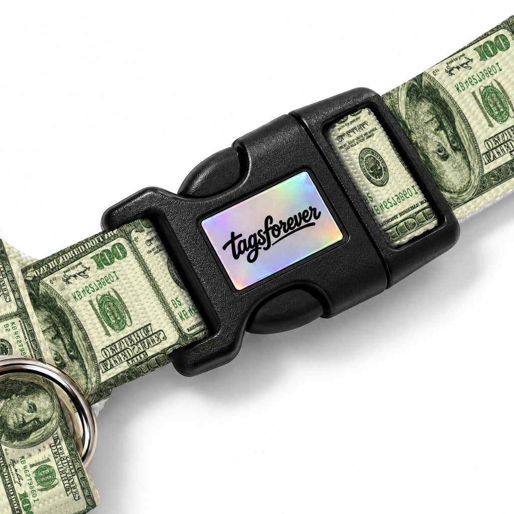 Dollar Pop Köpek Göğüs Tasması – Klips